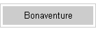 St. Bonaventure